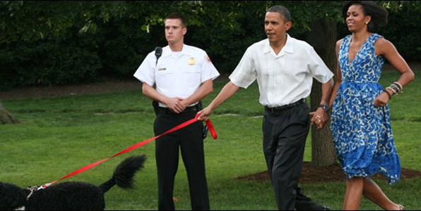 banner3_596_300.jpg